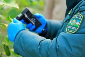 В Агентстве по карантину и защите растений выявили крупную коррупционную схему