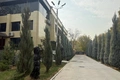 ауга, аукцион, приватизация, чиланзарский район