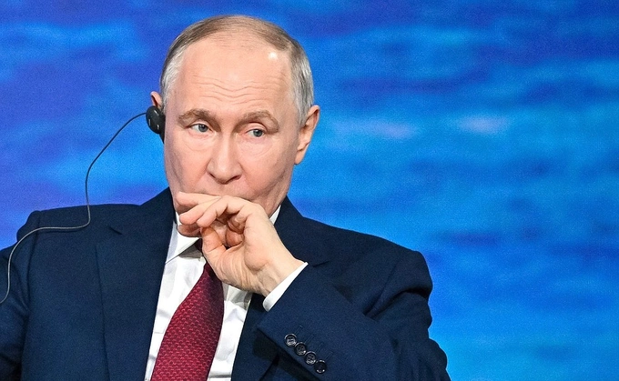 wildberries, владимир путин, электронная коммерция