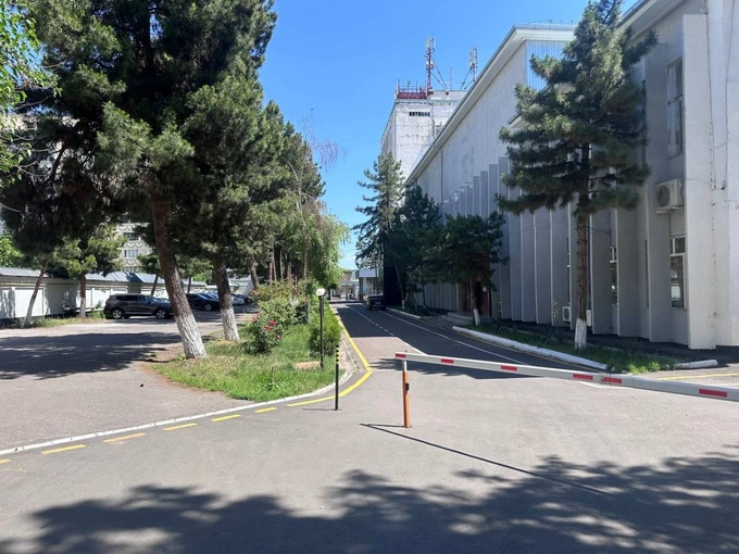 алмазарский район, ауга, аукцион, узстандарт