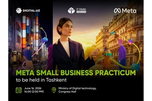 Meta Small Business Practicum