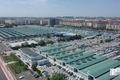 автомобили, сергелийский авторынок, ташкент