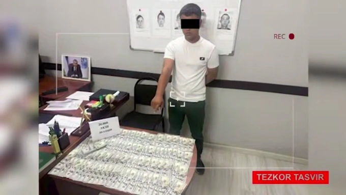 мвд, мошенничество, сша