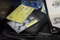 кибермошенники, мвд, мошенничество, сгб
