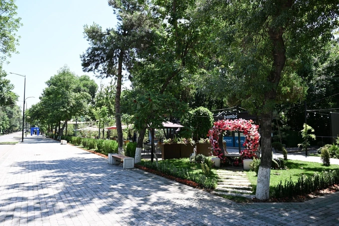 aqlli tuman, toshkent shahri, vaziyatlar markazi, yagona darcha