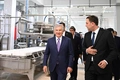 ishlab chiqarish, prezident, shavkat mirziyoyev, sut mahsulotlari, sutni qayta ishlash