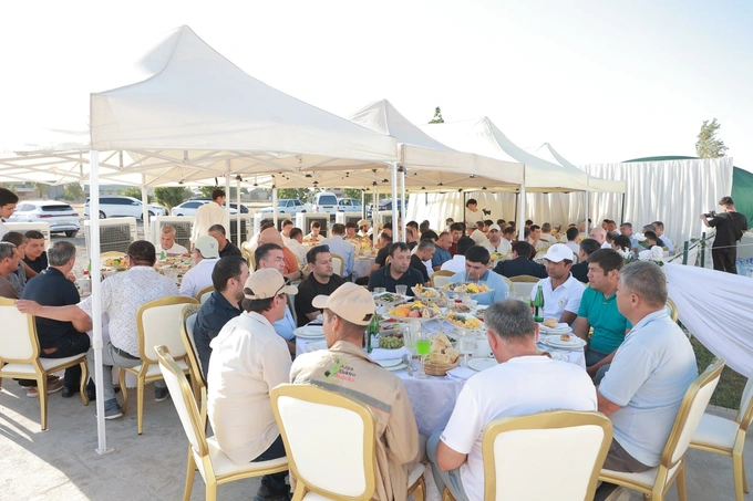 reklama, uzbekenergotamir