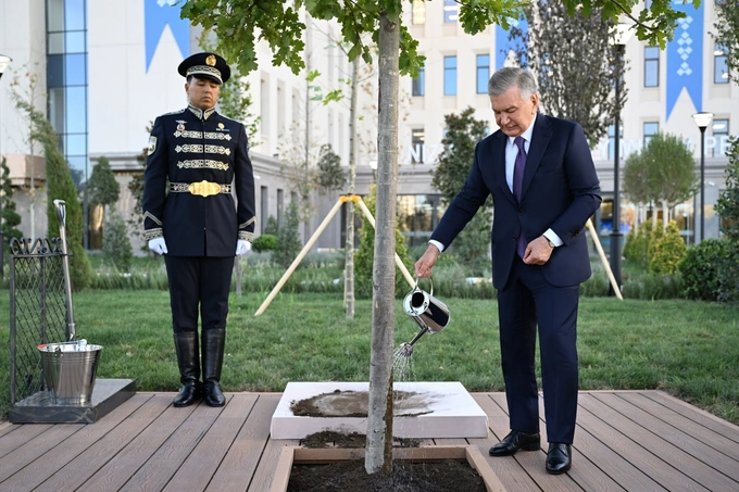 ilhom aliyev, nizomiy, shavkat mirziyoyev, universitet, yangi toshkent