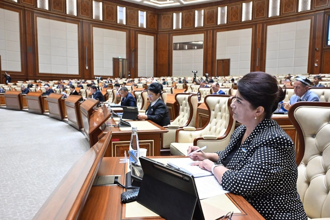 олий мажлис, рыночный надзор, сенат