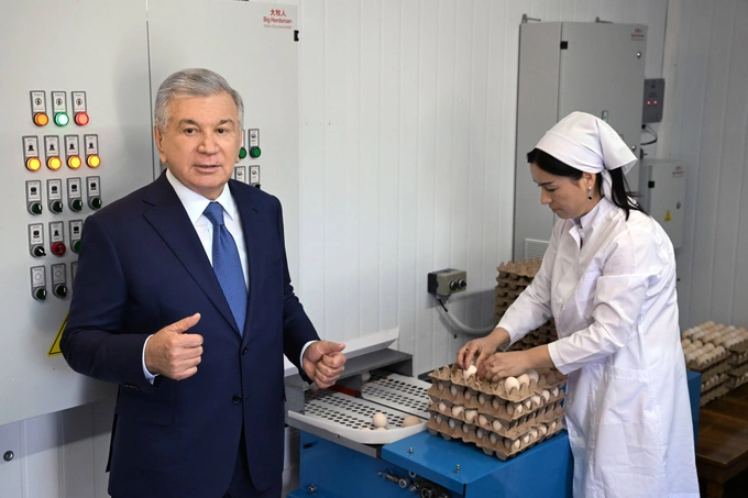 каракалпакстан, курица, птицефабрика, шавкат мирзиеев