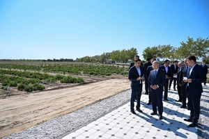 Qoraqalpog‘istonda intensiv bog‘lar maydoni 10 ming gektarga yetkaziladi
