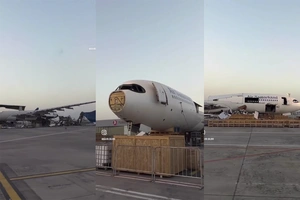 Air Samarkand осталась без пассажирского флота — ее Airbus A330 распилили в Стамбуле