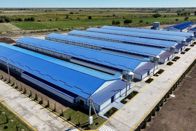 каракалпакстан, курица, птицефабрика, шавкат мирзиеев