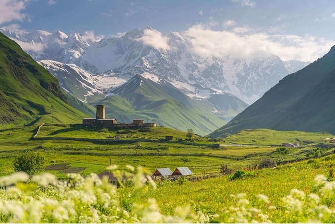 georgian national tourism administration, грузия, реклама