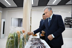 Американская Wosune создала в Карши завод сушеных продуктов за $8,5 млн
