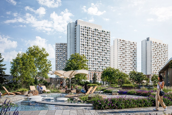 tashwell, реклама