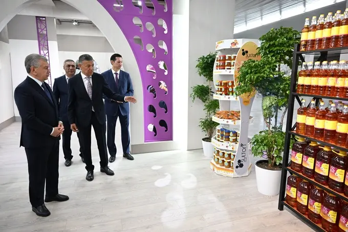 sulton tex group, кашкадарья, нурбек эргашев, шавкат мирзиеев