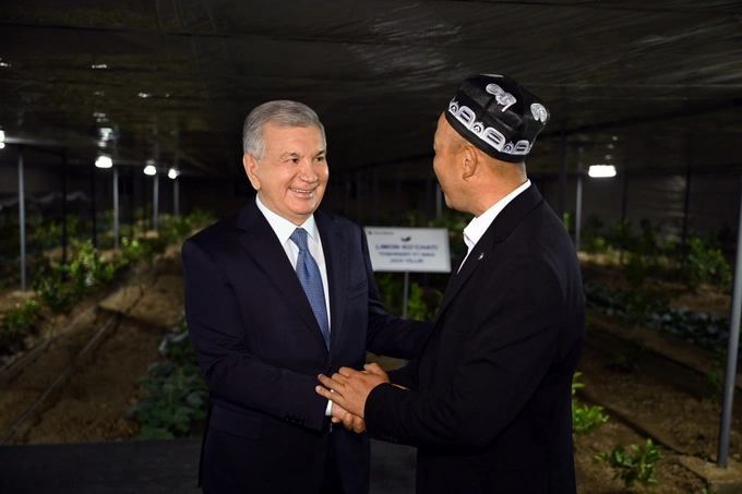 baliqchilik, chorvachilik, go‘sht, narxlar, parrandachilik, qashqadaryo, shavkat mirziyoyev