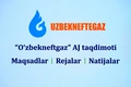 газ, узбекнефтегаз, шавкат мирзиеев