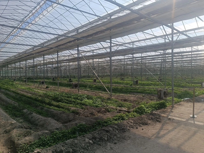 агро, аукцион, кластер, нбу