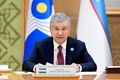 erkin savdo zonasi, mdh davlatlari, prezident, shavkat mirziyoyev